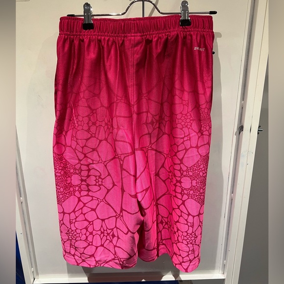 Nike LeBron Dri-Fit Shorts - Picture 3 of 3